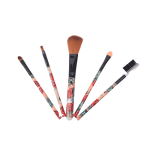 Set de brochas pequeñas brush x5