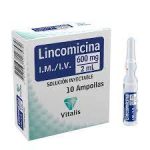LINCOMICINA 2 MG ANTIBIÓTICO VITAL