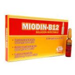 MIODIN B12 V AMP